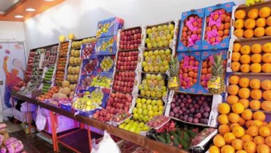 الفاكهة - أرشيفية