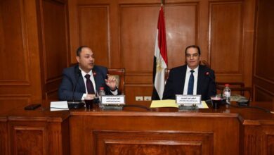 رئيس هيئة تنمية الصعيد