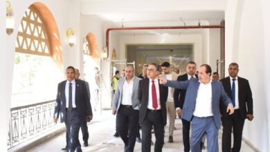 نايا ويلنس نايل سورناجا