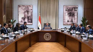 مستجدات مشروع إعادة إحياء منطقة نزلة السمان