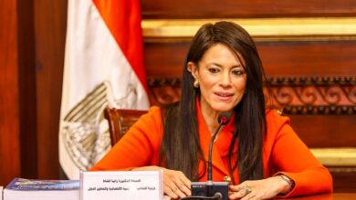 وزيرة التخططي والتعاون الدولى