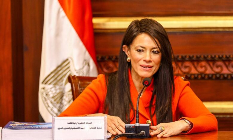 وزيرة التخططي والتعاون الدولى