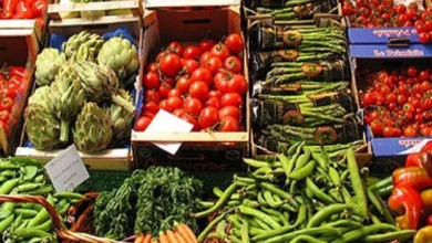 خضروات - أرشيفية