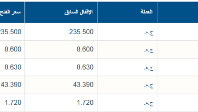 الأسهم الأكثر ارتفاعا بالبورصة المصرية