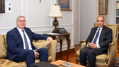 وزير الخارجية يستقبل وزير البترول