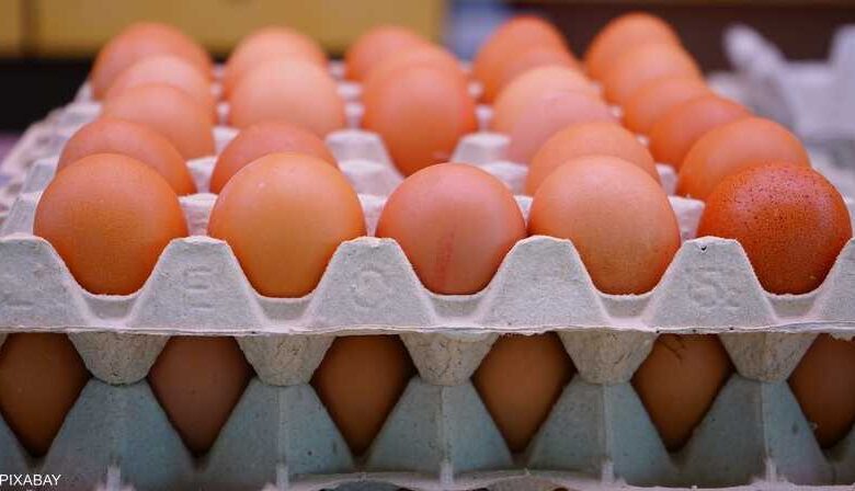 كرتونة بيض- أرشيفية