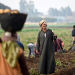 الأسمدة الزراعية