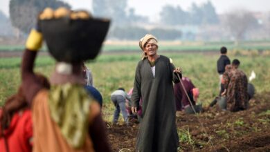 الأسمدة الزراعية