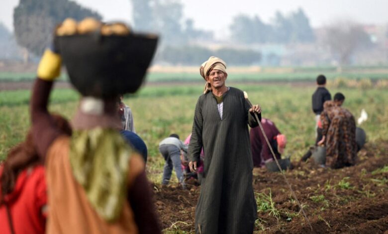 الأسمدة الزراعية