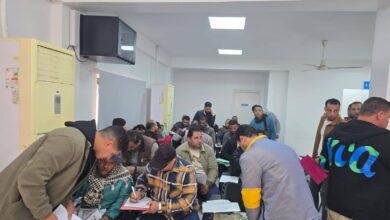 اختبارات وظيفة الضبعة النووية