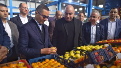 وزير الاستثمار والتجارة الخارجية يتفقد عددًا من المصانع بالمنطقة الاستثمارية بمدينة بنها