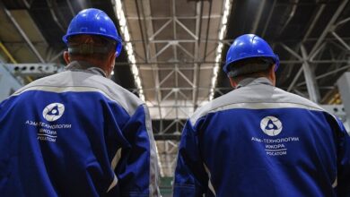 وظائف محطة الضبعة النووية