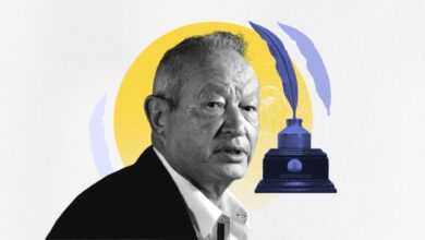 نجيب ساويرس