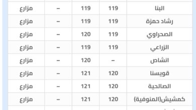 سعر البيض - اليوم السبت 3 يناير 2026