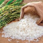 أسعار طن الأرز