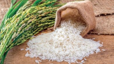 أسعار طن الأرز