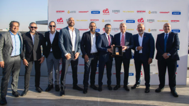 ElSewedy Electric e-commerce