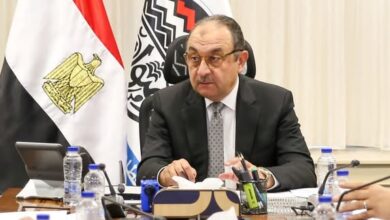 وزير قطاع الأعمال