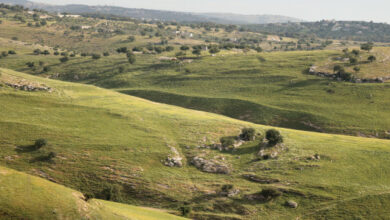 أجواء دافئة تسود معظم مناطق المملكة وارتفاع ملحوظ في درجات الحرارة بالأغوار والعقبة