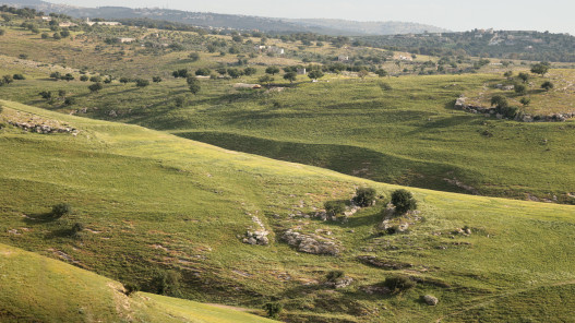 أجواء دافئة تسود معظم مناطق المملكة وارتفاع ملحوظ في درجات الحرارة بالأغوار والعقبة