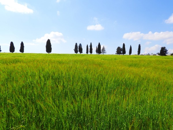 أجواء دافئة تغمر أغلب مناطق الأردن اليوم