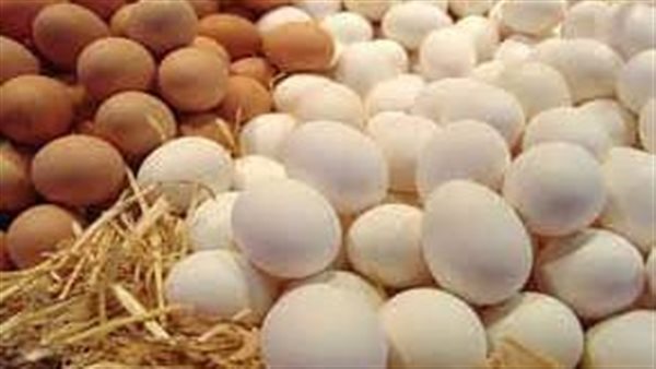 أسعار البيض اليوم الجمعة الأحمر يصل إلى 114 جنيهًا في الأسواق المصرية