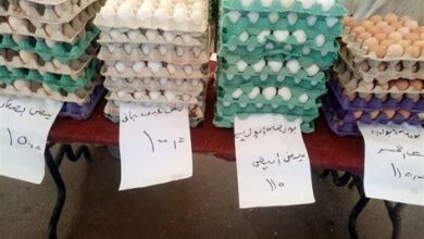 أسعار البيض في كفر الشيخ السبت 25 أبريل 2026 كرتونة البيض بـ110 جنيهات