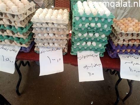 أسعار البيض في كفر الشيخ السبت 25 أبريل 2026 كرتونة البيض بـ110 جنيهات