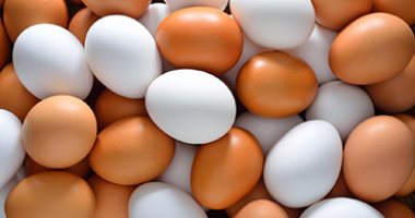 أسعار البيض في كفر الشيخ السبت 25 أبريل 2026 كرتونة البيض 110 جنيهات