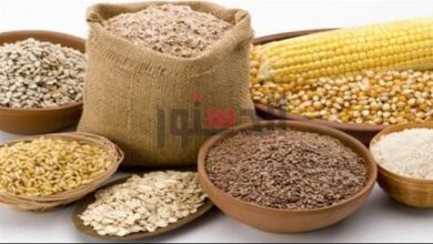 أسعار الحبوب ومكونات الأعلاف الرسمية في الغربية اليوم الجمعة 24 أبريل 2026