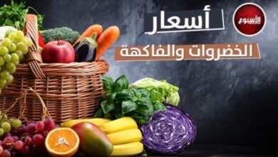 أسعار الخضروات والفاكهة اليوم الأحد 26 أبريل 2026 وأحدث مستجدات السوق الزراعية المحلية
