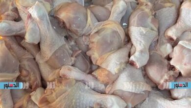 أسعار الدواجن الفراخ البط الأوز في كفر الشيخ السبت 25 أبريل