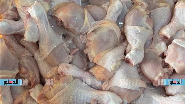 أسعار الدواجن الفراخ البط الأوز في كفر الشيخ السبت 25 أبريل