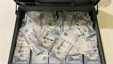 أسعار الريال السعودي في البنوك المصرية اليوم الجمعة 10 أبريل 2026 مقابل الجنيه المصري