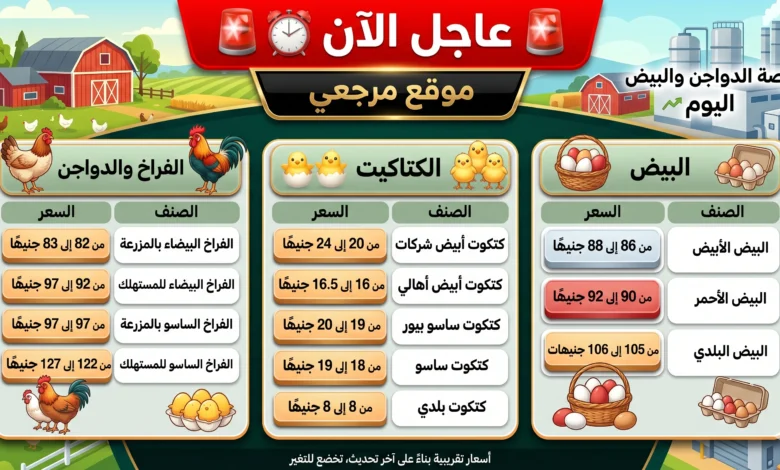 أسعار الفراخ البيضاء ترتفع اليوم الخميس 23 أبريل والبيض يواصل الصعود