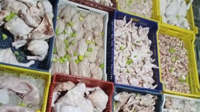 أسعار الفراخ اليوم الجمعة البانيه يسجل 300 جنيه في الأسواق