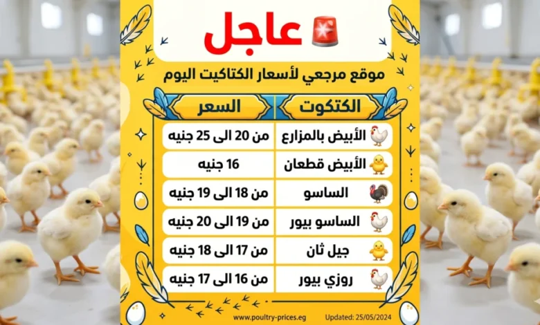 أسعار كتاكيت السبت 25 أبريل 2026 تقفز في شركات وتتحرك تدريجياً في المزارع