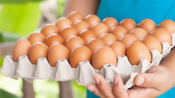 أسعار كرتونة البيض الأبيض والأحمر تتصدر الأسواق اليوم في 23 أبريل 2026