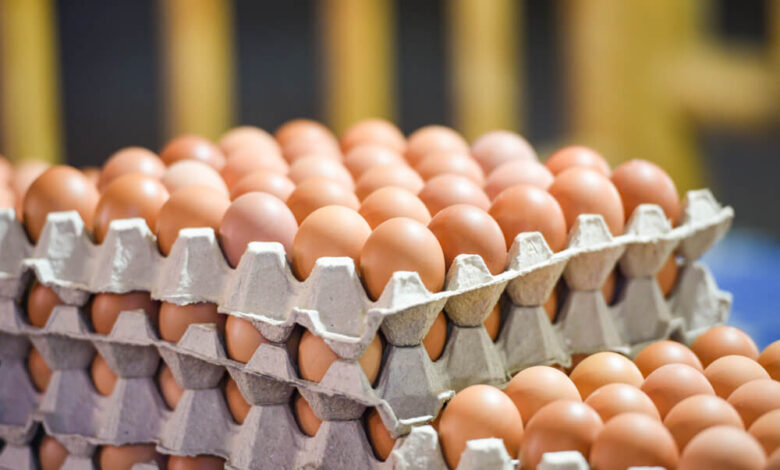 أسعار كرتونة البيض اليوم الجمعة تتغير في بورصة الدواجن والأسواق بموجة جديدة من الحركة