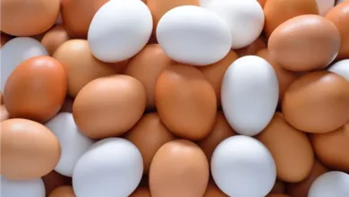 أسعار كرتونة البيض في شم النسيم اليوم تبدأ من أربعة جنيهات وتلفت الأنظار