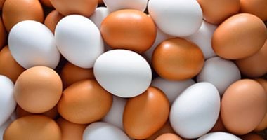 أسعار كرتونة البيض في كفر الشيخ في أول سبت من أبريل 2026