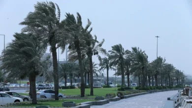 إدارة الأرصاد الجوية تحذر من أمطار رعدية ورياح قوية على الساحل