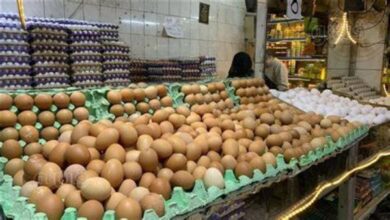 ارتفاع أسعار البيض في شم النسيم يثير قلق المستهلكين ويغير عادات الشراء