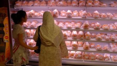 ارتفاع أسعار اللحوم البيضاء يثقل كاهل الجزائريين في رمضان