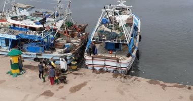 ارتفاع درجات الحرارة يعزز نظام صيد الأسماك في كفر الشيخ