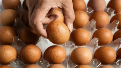 ارتفاع قياسي في أسعار البيض والدواجن كرتونة البيض تصل إلى 104 جنيه والأرقام تثير القلق
