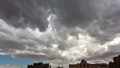 ارتفاع مستمر في درجات الحرارة وتحذيرات من الشبورة في الساعات القادمة