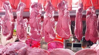 ارتفاعات وانخفاضات أسعار اللحوم بأنواعها المختلفة في أسواق محافظة الغربية اليوم