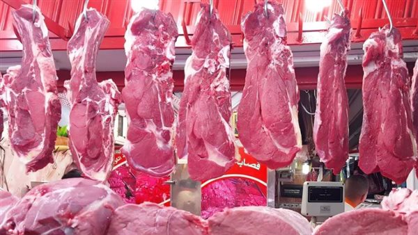 ارتفاعات وانخفاضات أسعار اللحوم بأنواعها المختلفة في أسواق محافظة الغربية اليوم
