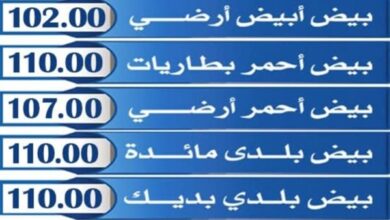 استقرار أسعار البيض في أعياد الربيع مع تفاصيل تؤثر على الأسواق المحلية